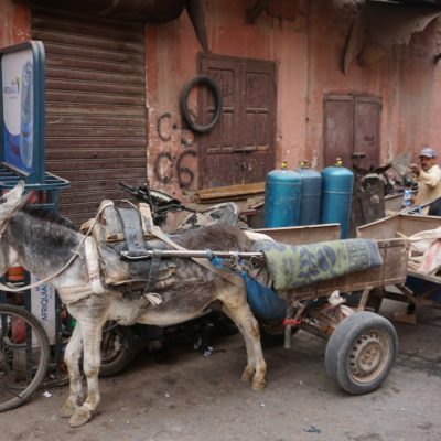 In der Medina (Altstadt) von Marrakesch